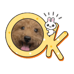 波波寶貝的貼圖
