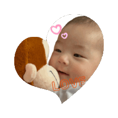 koto_20250310003247