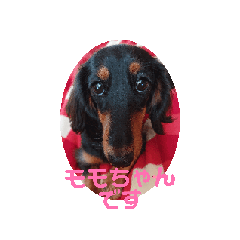 momochan's hiring