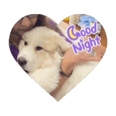 charm_20250310023519