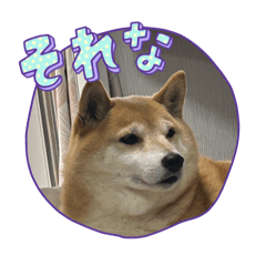 nao_20250309010055