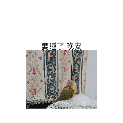我家的胖胖鳥