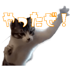 suzu_20250309193822