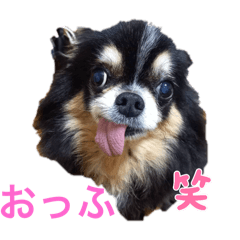 Sena_20250309204049