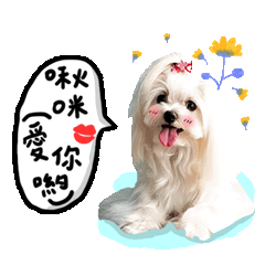 可愛的樂樂公主