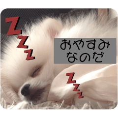 saltn_20250309215520