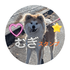 riri_20250309200936