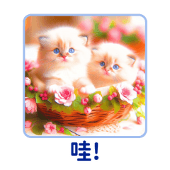 Tiny Ragdoll Wonders 3:Chinese