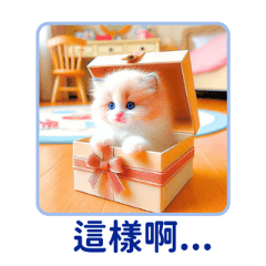 Tiny Ragdoll Wonders 2:Chinese