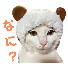 hachi_FirstSeason