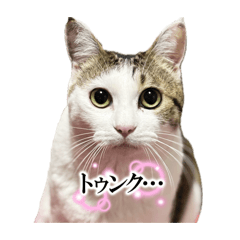 MiMi chan_stamp