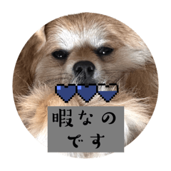 saltn_20250309223953