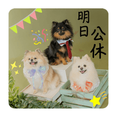 三寶-客人回覆①