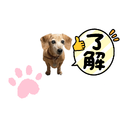 momoka_20250309150457