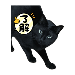 AKIRA_20250310015941