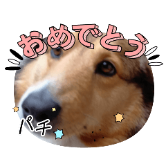 haru_20250309162444