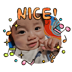 bear_20250310110736