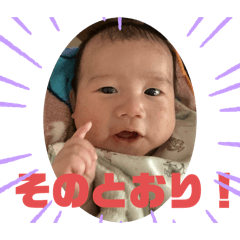 sakemi_20250310112342