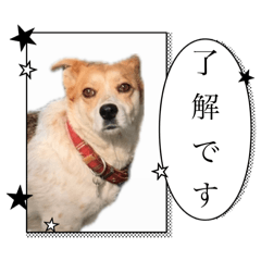 NANA_20250310120331
