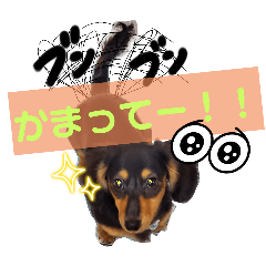 yurina_20250309200045