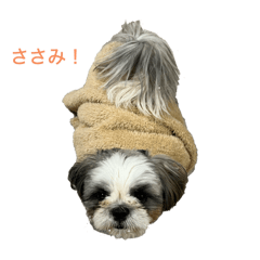 Myon_20250310012116