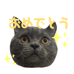 Koy_20250310004925