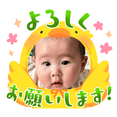 yuzu_20250310005548