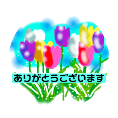 minorin_20250309171120