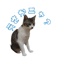 suzu_20250309171435
