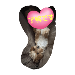 y_20250309222008