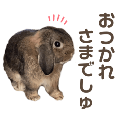 maimai_20250309142824