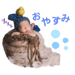 himawari_20250309183445