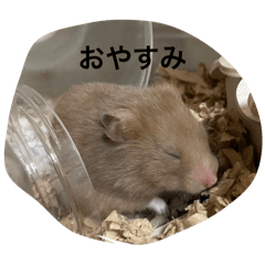 KAORI_20250309185229
