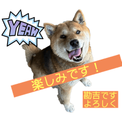 tomo_20250309230046