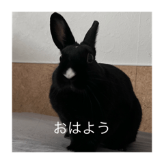 choco_20250309225625