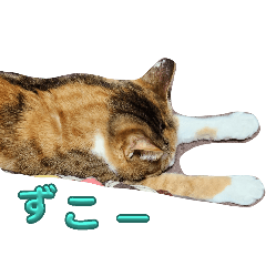 Chan_20250309230335
