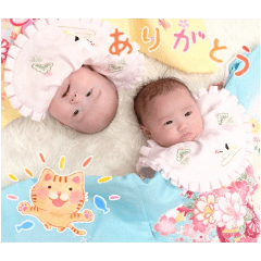 miho_20250310085713