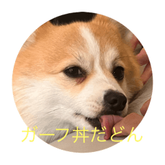 gg_20250310104655