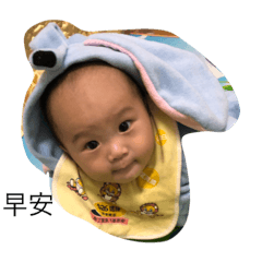 beegogo