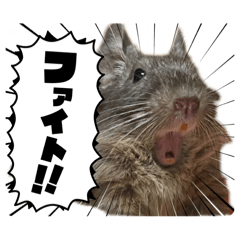 yuto_20250309191157