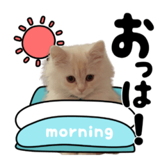 RARAMUGI_20250309131848