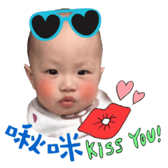 海豚與眾毛孩其樂