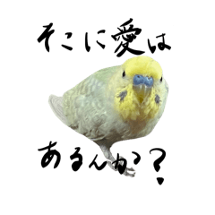 Chunchunchanwashiwashi