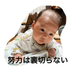 T_20250310043001