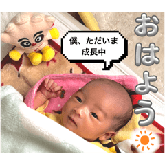 Ayachan_20250310062034