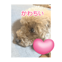 Mimi_20250309214216