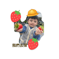 樂晞寶寶們