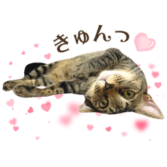 haru_20250310163845
