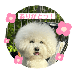 mon_20250310164101