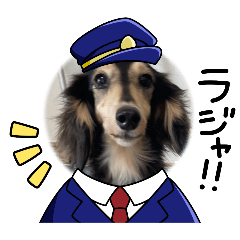 chiko_20250310190656